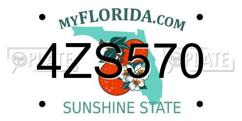 4ZS570 Florida License Plate