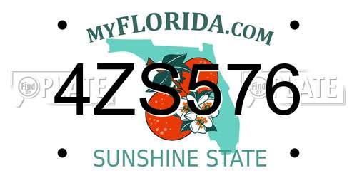 4ZS576 Florida License Plate