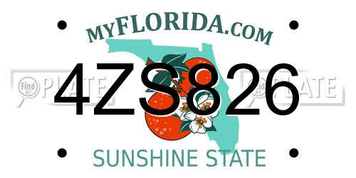 4ZS826 Florida License Plate