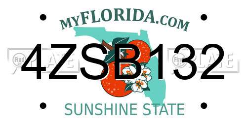 4ZSB132 Florida License Plate