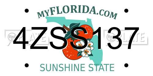 4ZSS137 Florida License Plate