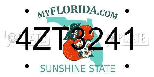 4ZT3241 Florida License Plate