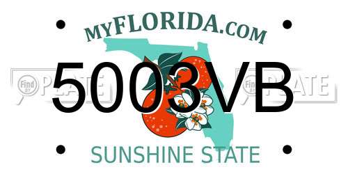 5003VB Florida License Plate