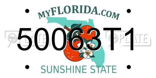 50063T1 Florida License Plate