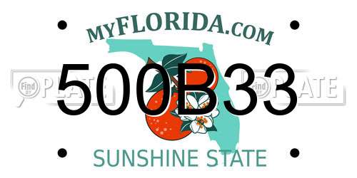 500B33 Florida License Plate