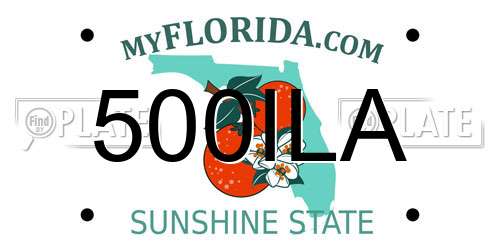 500ILA Florida License Plate