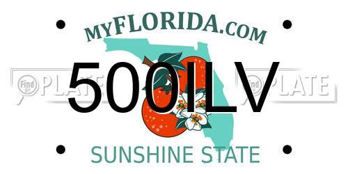 500ILV Florida License Plate