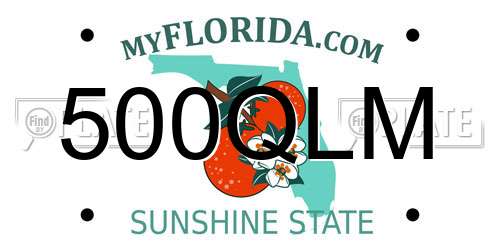 500QLM Florida License Plate