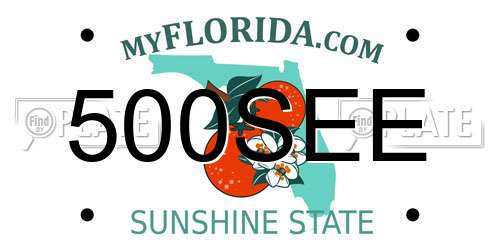 500SEE Florida License Plate