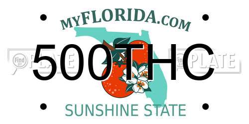 500THC Florida License Plate