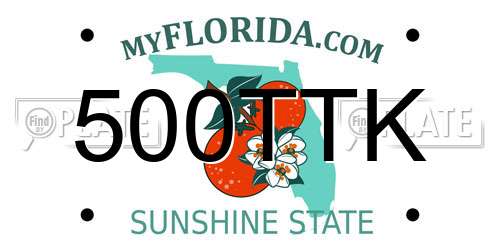 500TTK Florida License Plate