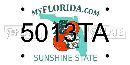 5013TA Florida License Plate