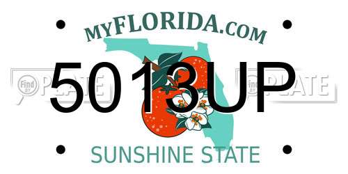 5013UP Florida License Plate