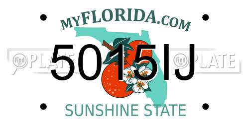 5015IJ Florida License Plate