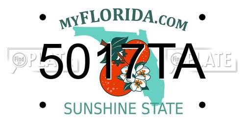 5017TA Florida License Plate