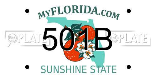 501B Florida License Plate