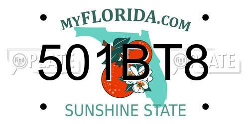 501BT8 Florida License Plate