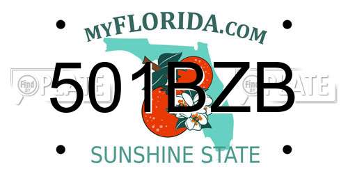 501BZB Florida License Plate