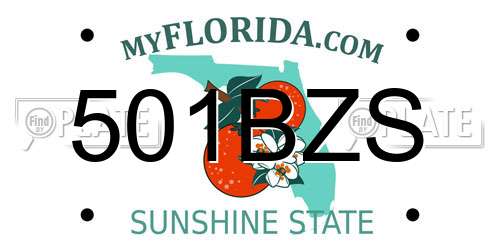 501BZS Florida License Plate