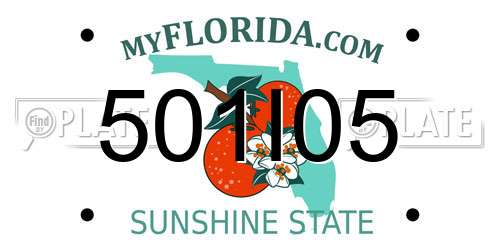 501I05 Florida License Plate