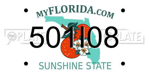 501I08 Florida License Plate