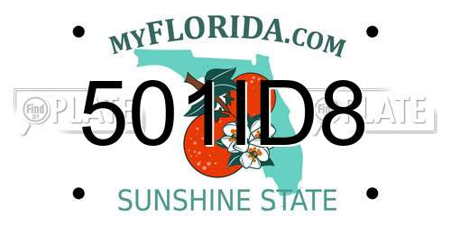 501ID8 Florida License Plate