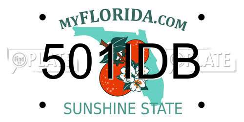 501IDB Florida License Plate