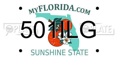 501ILG Florida License Plate