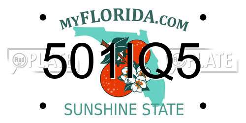 501IQ5 Florida License Plate