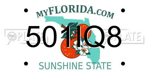 501IQ8 Florida License Plate
