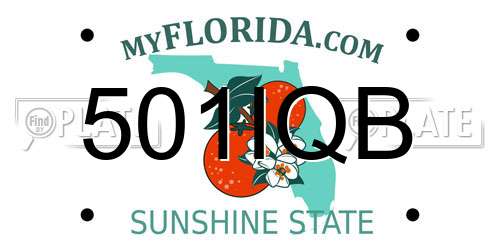501IQB Florida License Plate