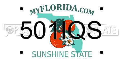 501IQS Florida License Plate