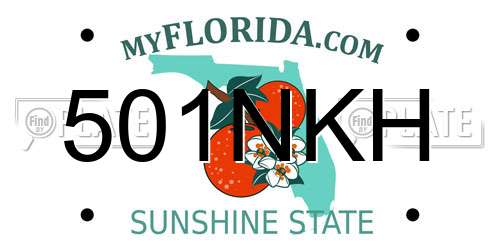 501NKH Florida License Plate