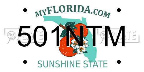 501NTM Florida License Plate