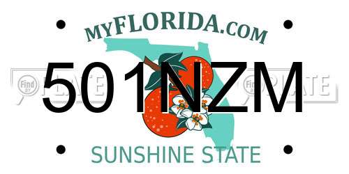 501NZM Florida License Plate