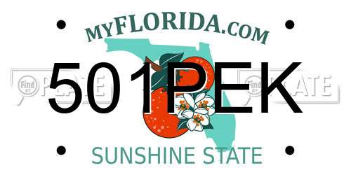 501PEK Florida License Plate