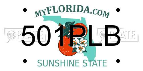 501PLB Florida License Plate