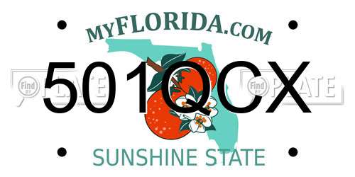 501QCX Florida License Plate