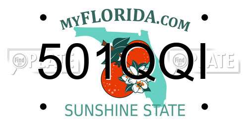501QQI Florida License Plate