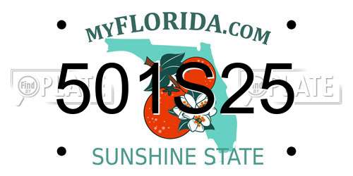 501S25 Florida License Plate