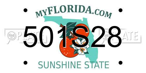 501S28 Florida License Plate