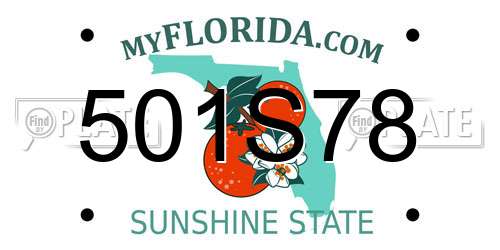 501S78 Florida License Plate