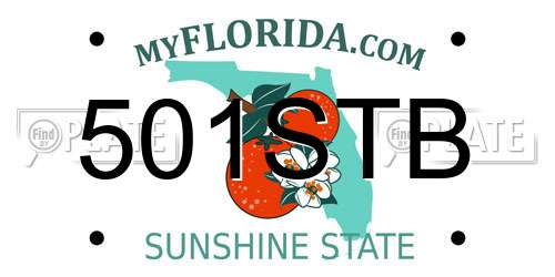 501STB Florida License Plate