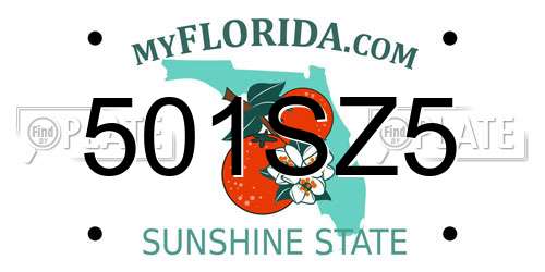 501SZ5 Florida License Plate