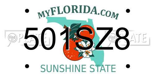 501SZ8 Florida License Plate