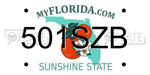 501SZB Florida License Plate