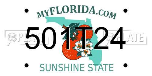 501T24 Florida License Plate