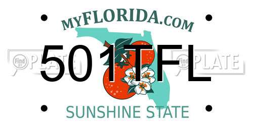 501TFL Florida License Plate