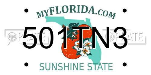 501TN3 Florida License Plate