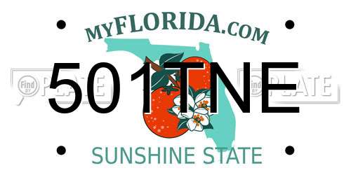 501TNE Florida License Plate